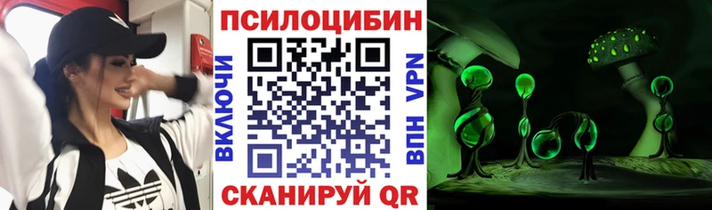 дарнет шоп  Камбарка  Галлюциногенные грибы прущие грибы 